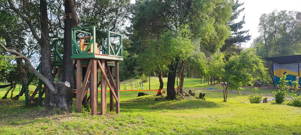 Circuitos de canopy suspendidos entre árboles