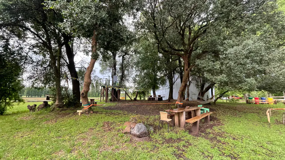 Árboles nativos que dan sombra al parque