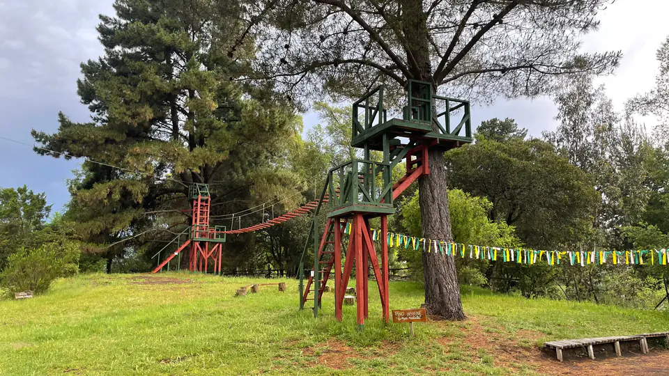 Torre de canopy entre árboles con cintas amarillas y verdes