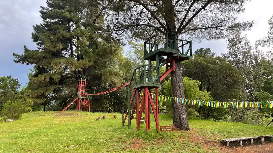 Torre de canopy entre árboles nativos con cintas amarillas y verdes
